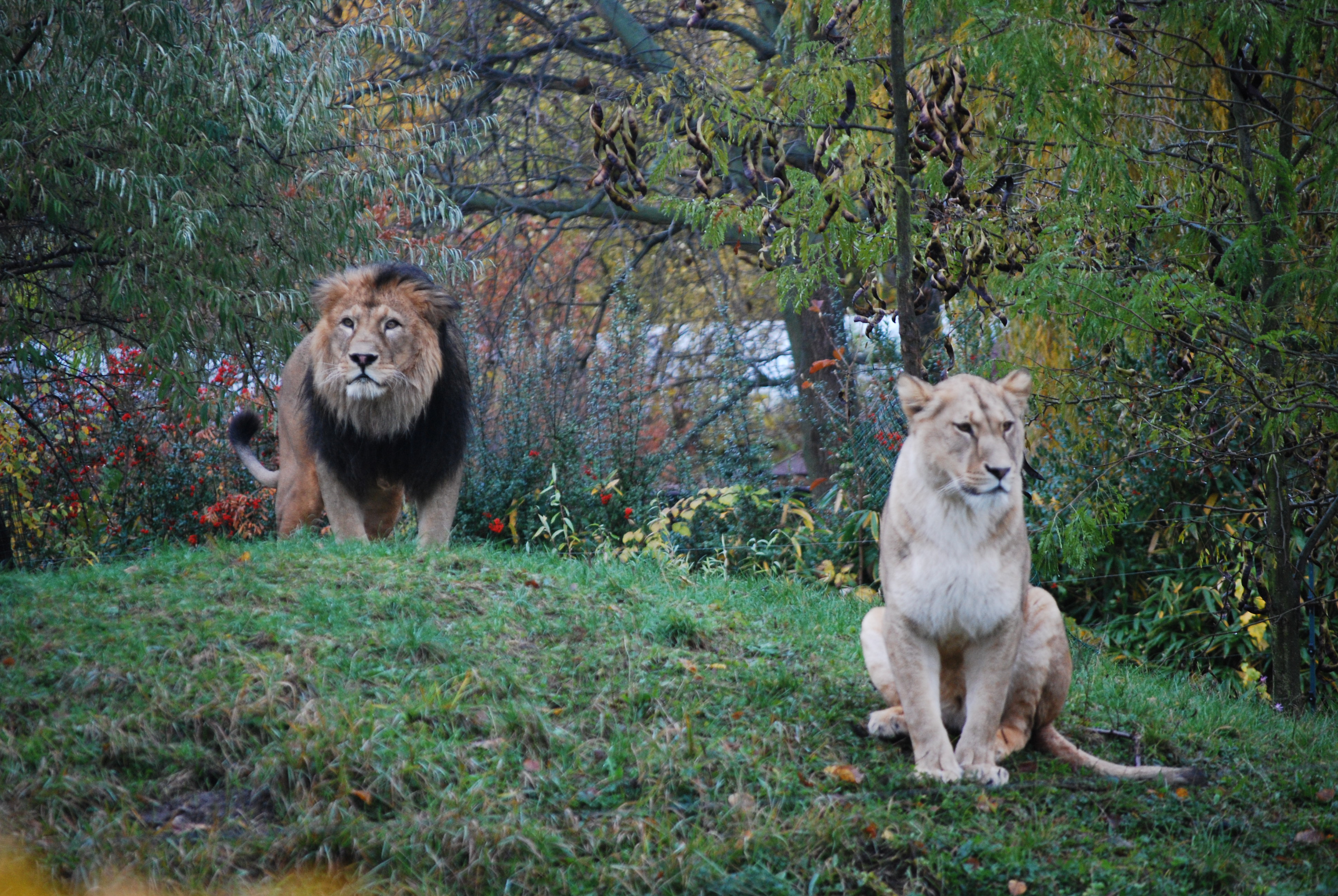 DSC_0064.JPG