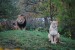DSC_0064.JPG